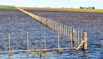 Se complicó la cosecha de soja por las lluvias intensas: “La duración del agua es crítica”