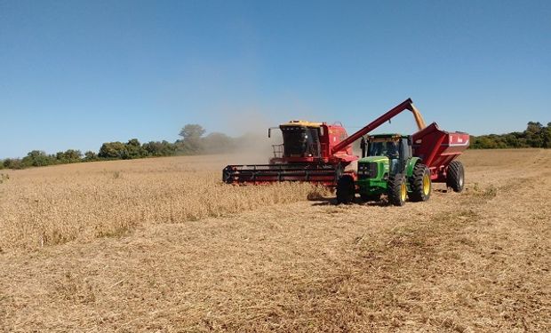 “Oportunidades para el desarrollo del país”: un exministro de Agricultura y diputado explicó en 11 puntos la importancia de la agroindustria