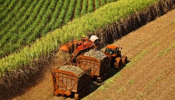 BrasilAgro fecha colheita de cana com 103 toneladas por hectare no Centro-Oeste