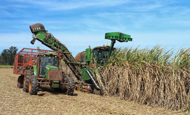 Clima favorece e moagem de cana cresce 13%  na segunda quinzena de junho