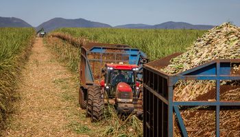 Conab prevê segunda maior safra de cana da história