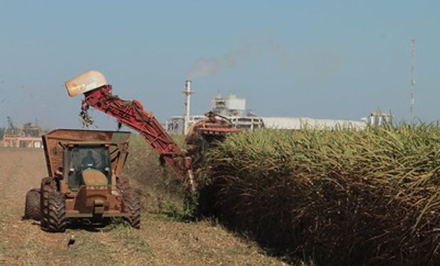Centro-Sul do Brasil deve processar 592,1 milhões de toneladas de cana-de-açúcar na temporada 2023/24, prevê StoneX. (foto - CNA/Senar)