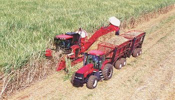 Produção de cana recua para 673,2 milhões de toneladas; etanol atinge recorde na safra 2025/26