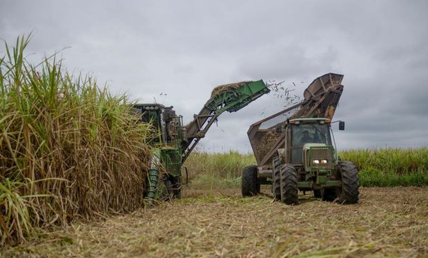 Exportación de azúcar: el Gobierno asignó los cupos para el mercado de Estados Unidos