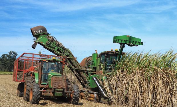 Brasil deve produzir 685,86 milhões de tons de cana na safra 2024/25, indica Conab