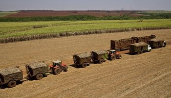 Moagem da cana atinge recorde histórico na safra 23/24