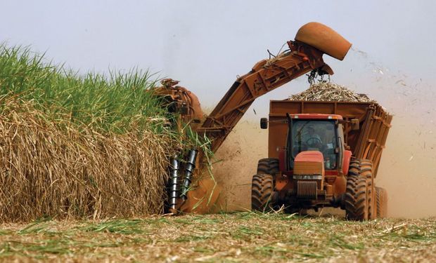 Cana-de-açúcar: outubro registra queda de produtividade de 20%; estiagem gera prejuízo de R$ 1,3 bilhão