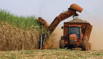 Produção de cana recua em 2025/26 e deve somar 668,8 milhões de toneladas, diz Conab