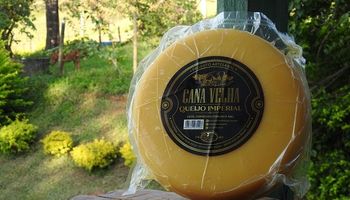Produtores de MG e RS recebem primeiros certificados Selo Queijo Artesanal