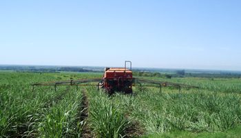 Nuevas tecnologías para la caña de azúcar