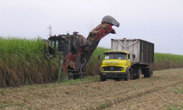 Sin prórroga de la Ley de Biocombustibles, cañeros alertan que se perderán 200 mil puestos de trabajo 