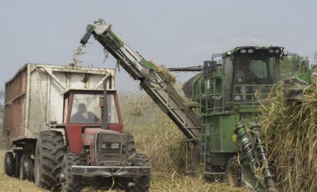 Fue a través de un programa patrocinado por el Ministerio de Agroindustria de la Nación.