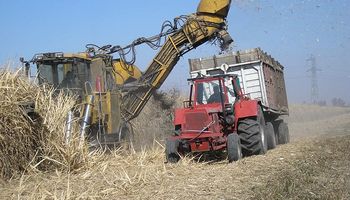 Tucumán registra un avance del 30% en la cosecha de caña de azúcar