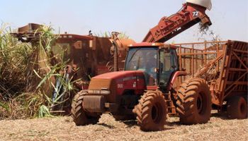 Agro puxa alta de 7,6% e impulsiona PIB de São Paulo no 1º trimestre de 2025