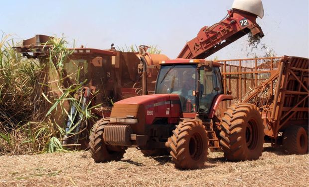 Agro puxa alta de 7,6% e impulsiona PIB de São Paulo no 1º trimestre de 2025