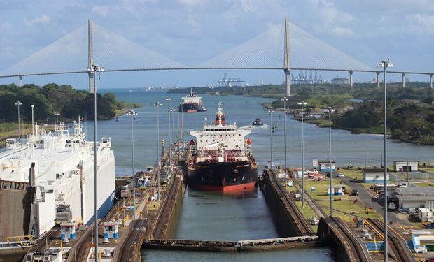 Cuánto exporta Argentina a Panamá y qué rerepsenta para el agro: ya se envió carne bovina por vía aérea y hay más oportunidades para seguir creciendo en el comercio