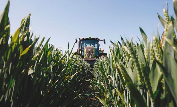 Las operaciones de canje agropecuario y los impuestos.