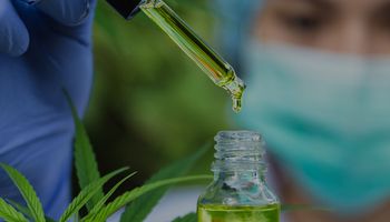 Mapa avança para regularizar cultivo de Cannabis com fins medicinais