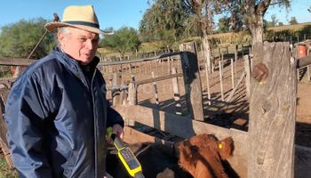 Un experto ganadero plantea dejar de vacunar contra la aftosa para "jugar en primera", tira una fecha para la "explosión" de la carne y destaca que hay una "oportunidad de oro" en Argentina