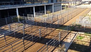 Paro del campo: Cañuelas amaneció con los corrales vacíos