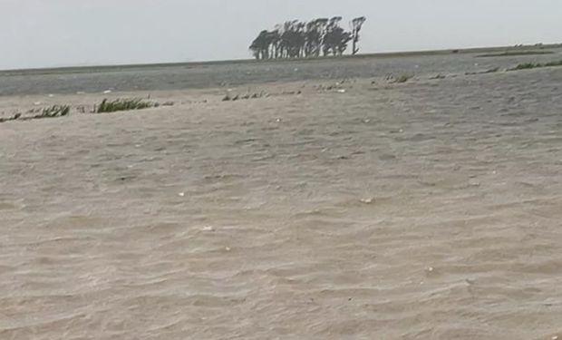 No RS,  inundações cobriram lavouras de arroz e soja, afetando milhares de hectares. (Foto - Vanessa Peres)