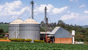 Capacidade de armazenagem agrícola cresce 1,1% e chega a 233,8 milhões de toneladas, aponta IBGE