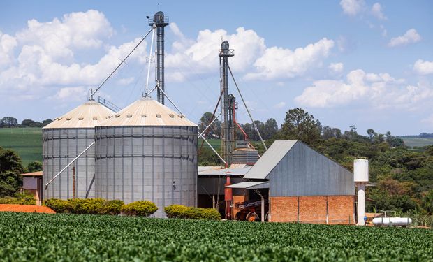 Capacidade de armazenagem agrícola cresce 1,1% e chega a 233,8 milhões de toneladas, aponta IBGE