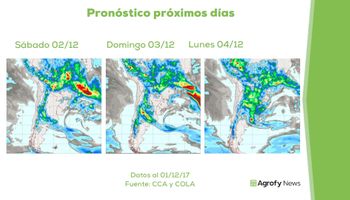 ¿Toma impulso la siembra?