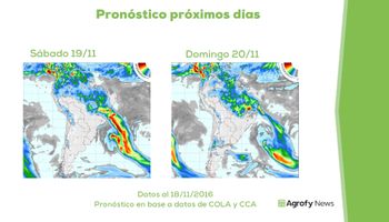 Clima, el nuevo mejor aliado de la siembra