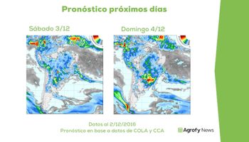 Maíz a todo vapor gracias al clima