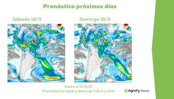 Clima ideal y esperanzas alcistas