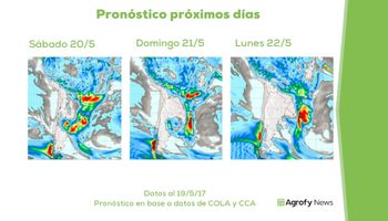 El trigo en medio de la tormenta