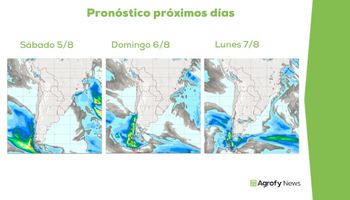 El mejor aliado del trigo es el clima