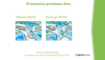 Lluvias a corto plazo, ¿cómo impactarán en la cosecha?