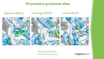 El clima le pone un freno a la siembra de soja