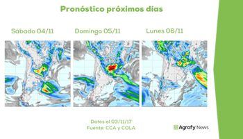 ¿Lluvias dan tregua a la soja?