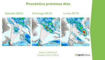 Falta de agua sigue complicando a la soja