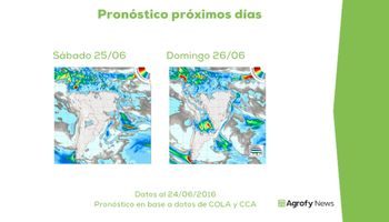 Más maíz y clima favorable presionan las cotizaciones