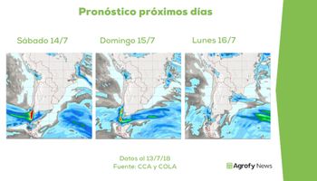 El invierno ideal para el trigo