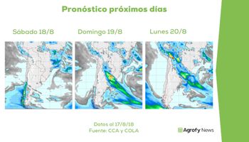 Nuevas lluvias darán impulso al trigo