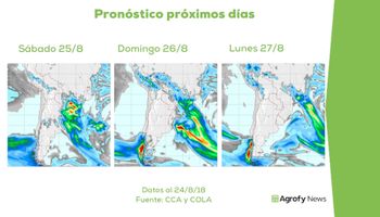 Sin lluvias a la vista, el trigo mantiene la condición