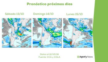 El clima le da impulso a la siembra de soja