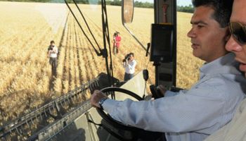 La familia Capitanich cosechó el primer lote de trigo de la campaña 2021/22