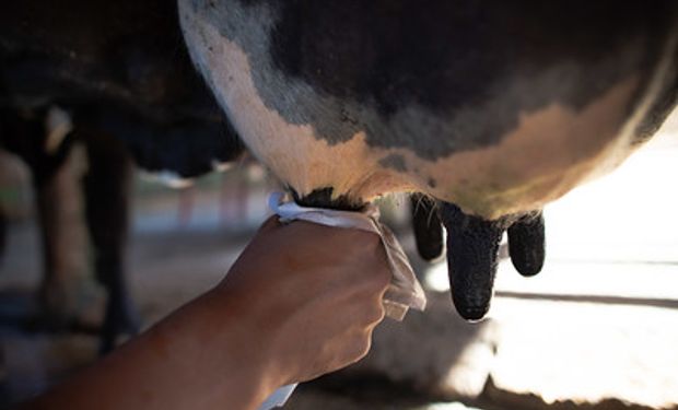 Produtividade média de leite no Brasil ainda é muito baixa, o que reduz possibilidades para os pequenos produtores. (foto - CNA)