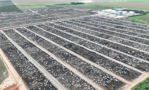 Texas brasileiro? Confinamento na Bahia é modelo para todo o Matopiba