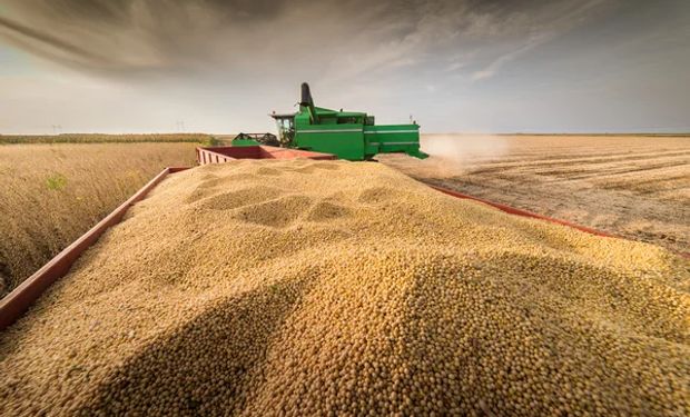 Na berlinda: Mato Grosso enfrenta reações após aprovação de lei contra Moratória da Soja