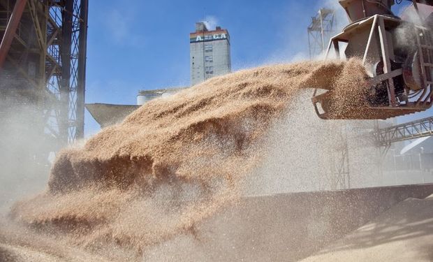 El Ministerio de Agricultura reiteró la vigencia de la normativa para liquidación de contratos de granos en dólares.