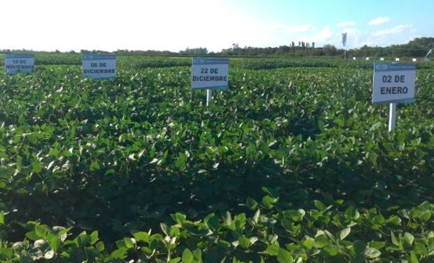 Biotecnología Agropecuaria: representantes de ambos países analizaron temáticas vinculadas a los marcos regulatorios en la materia.