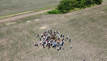 Cosecha de agua en el campo: cada milímetro de lluvia puede transformarse en 8 kilos de soja, 25 kilos de maíz, 18 kilos de trigo o 25 kilos de alfalfa