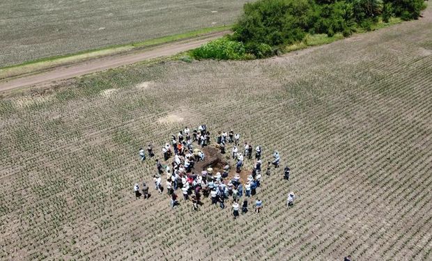 Cosecha de agua en el campo: cada milímetro de lluvia puede transformarse en 8 kilos de soja, 25 kilos de maíz, 18 kilos de trigo o 25 kilos de alfalfa